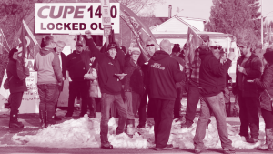 letter to opp