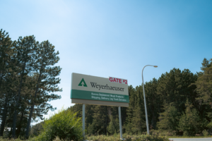 weyerhaeuser-kenora