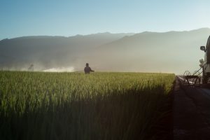 farmer-agriculture-countryside-cropland-1476091