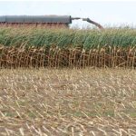 全國農民聯盟表示，公共郵政服務建設社區   