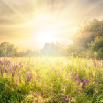 春季安全：做好应对这5种季节性危险的准备